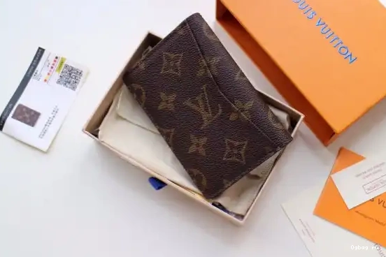 Louis Vuitton ORGANIZER POCKET 0614
